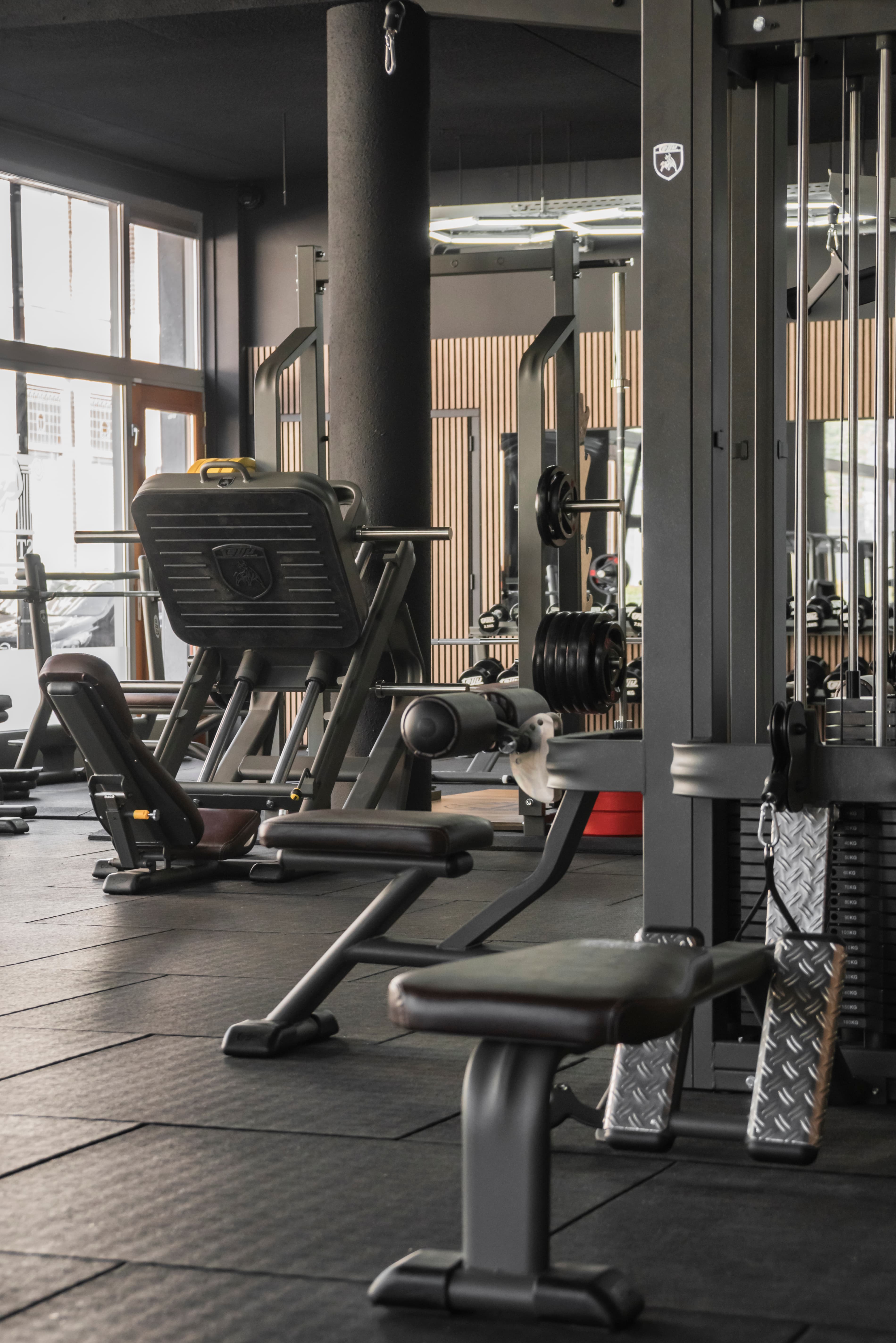 Professionelles Fitnessstudio eingerichtet von Fitnesskonfigurator.de mit Telju Fitness Geräten